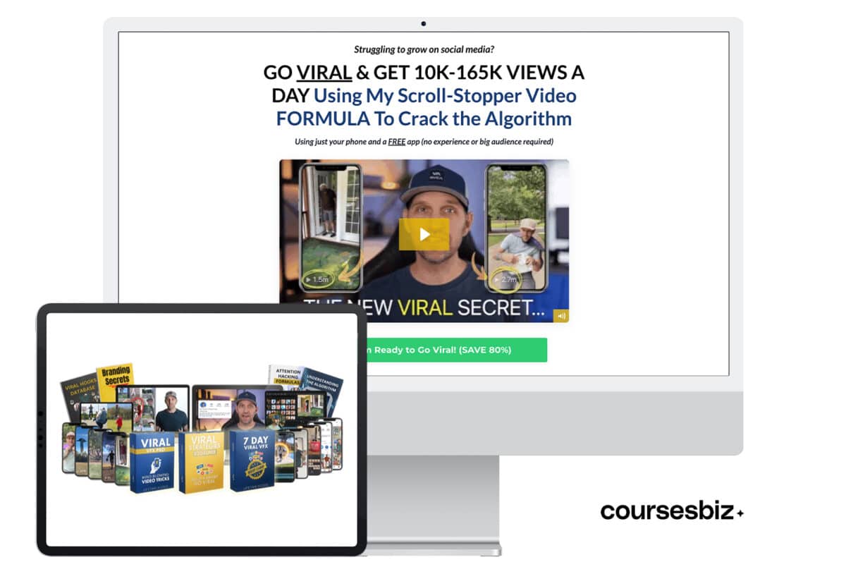 Viral VFX Program