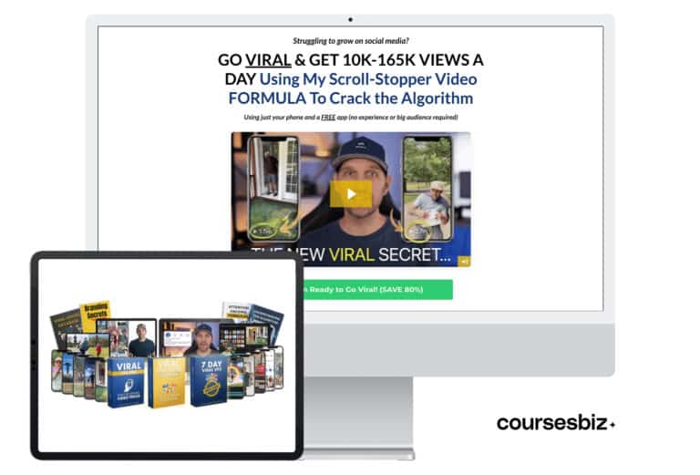 Viral VFX Program