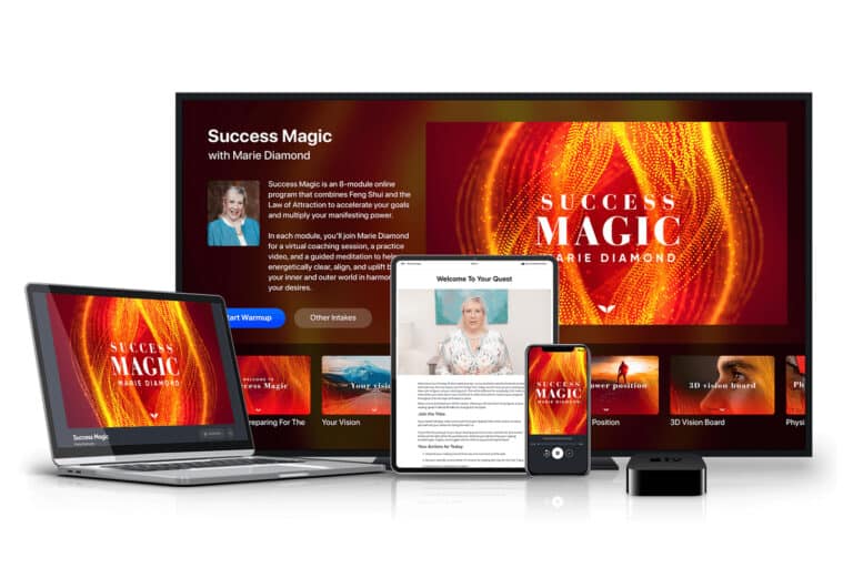 Mindvalley Success Course